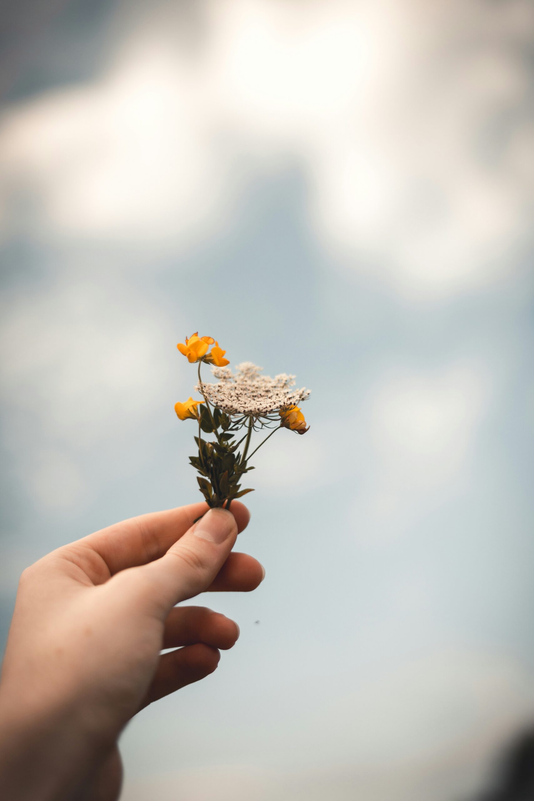 hand holding flowers