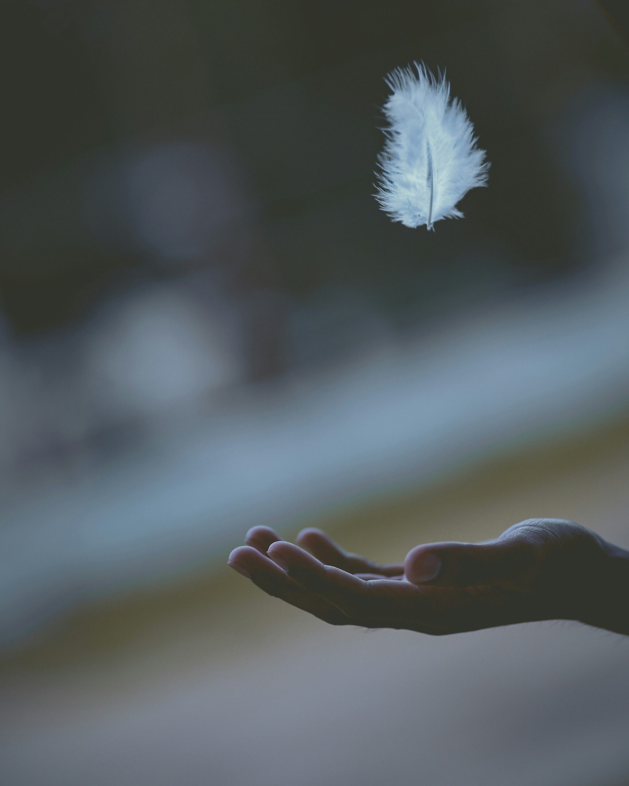 Hand catching a feather